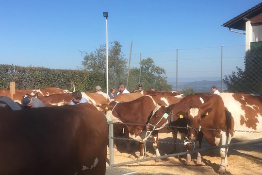 PHOTO-2018-10-03-21-08-15-(2)