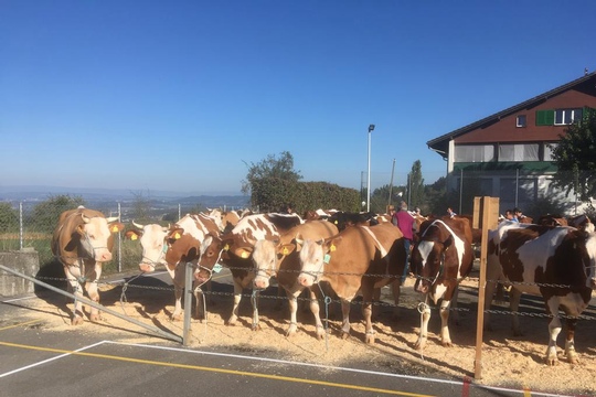 PHOTO-2018-10-03-21-08-15-(3)