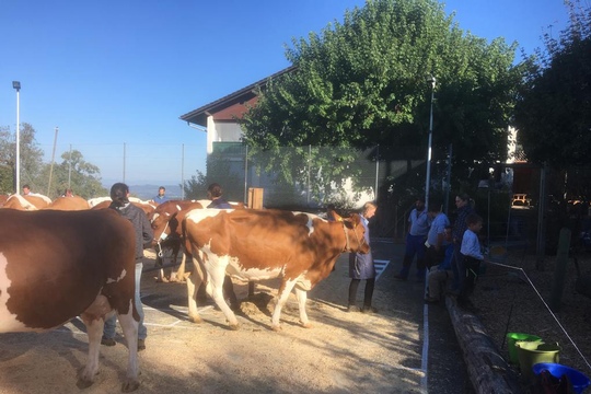 PHOTO-2018-10-03-21-08-15-(4)