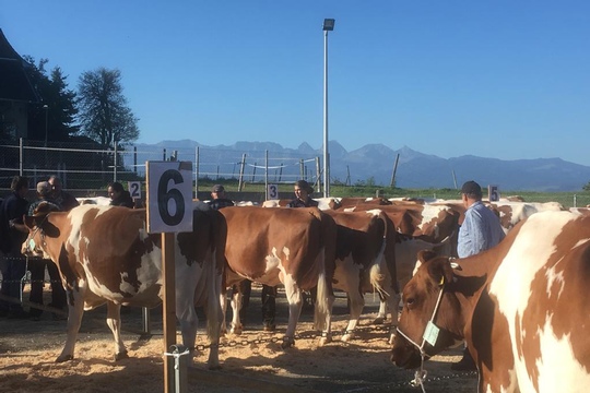 PHOTO-2018-10-03-21-08-15