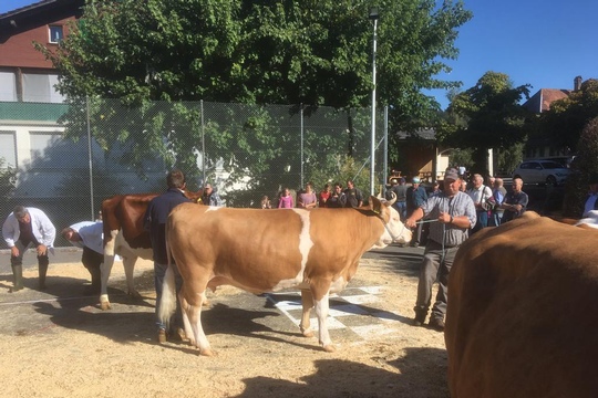 PHOTO-2018-10-03-21-08-19-(10)