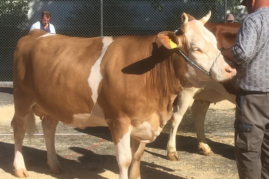 PHOTO-2018-10-03-21-08-19-(11)