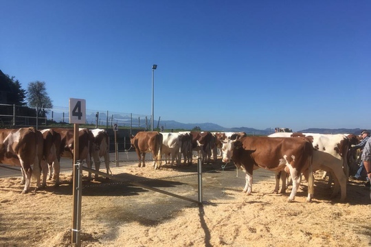 PHOTO-2018-10-03-21-08-19-(12)