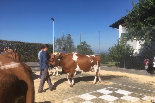 PHOTO-2018-10-03-21-08-19-(13)