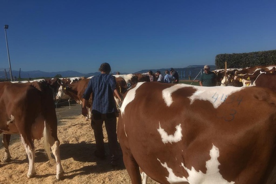 PHOTO-2018-10-03-21-08-19-(14)