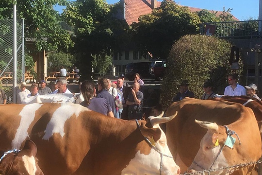 PHOTO-2018-10-03-21-08-19-(16)