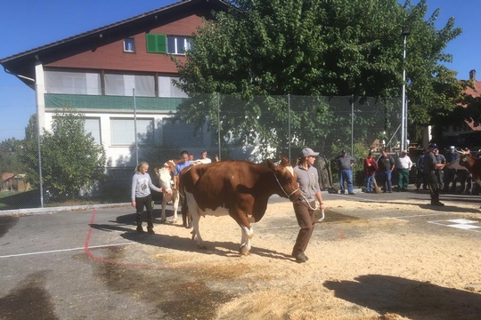 PHOTO-2018-10-03-21-08-19-(18)