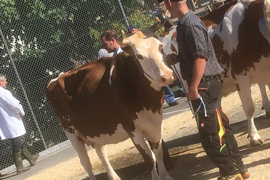 PHOTO-2018-10-03-21-08-19-(19)