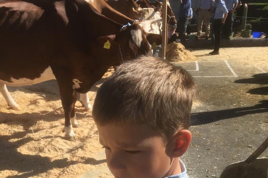 PHOTO-2018-10-03-21-08-19-(20)