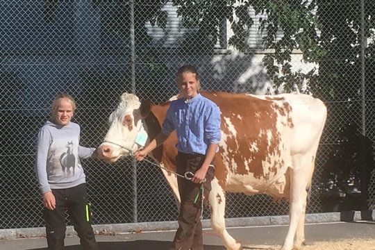 PHOTO-2018-10-03-21-08-19-(21)