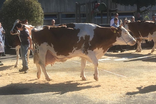 PHOTO-2018-10-03-21-08-19-(22)