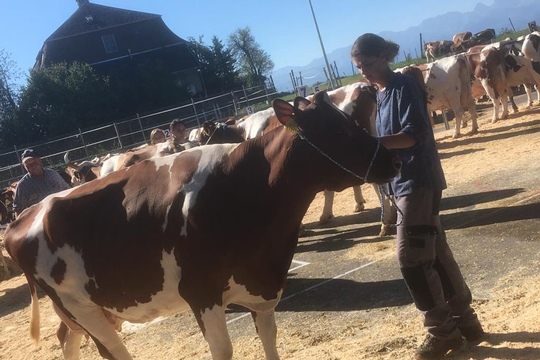 PHOTO-2018-10-03-21-08-19-(23)