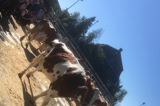 PHOTO-2018-10-03-21-08-19-(24)