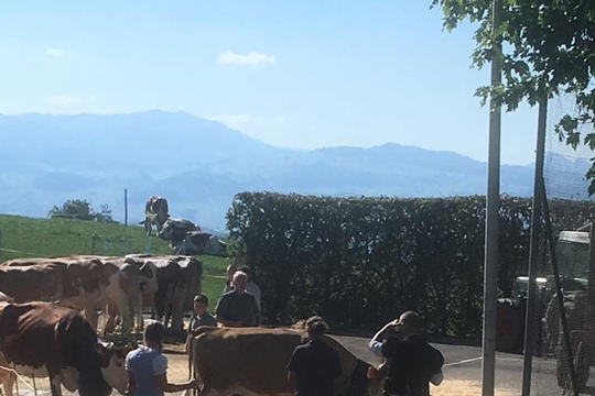 PHOTO-2018-10-03-21-08-19-(25)