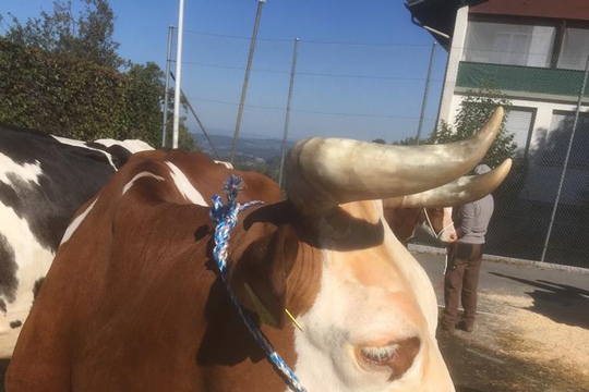 PHOTO-2018-10-03-21-08-19-(8)