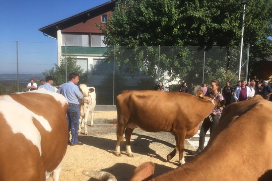 PHOTO-2018-10-03-21-08-19-(9)