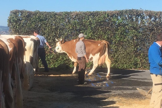 PHOTO-2018-10-03-21-08-19
