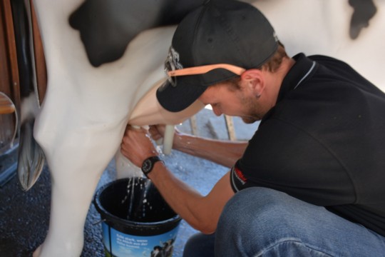 WhatsApp Bild 2024-05-13 um 11.37.02_b482fa86