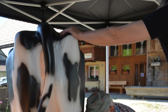 WhatsApp Bild 2024-05-13 um 11.37.05_14d24876