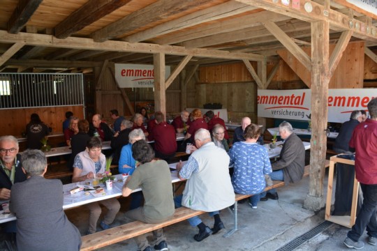 WhatsApp Bild 2024-05-13 um 11.37.05_5dd60c73