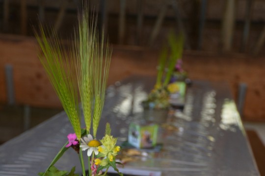 WhatsApp Bild 2024-05-13 um 11.37.06_e5be25a6