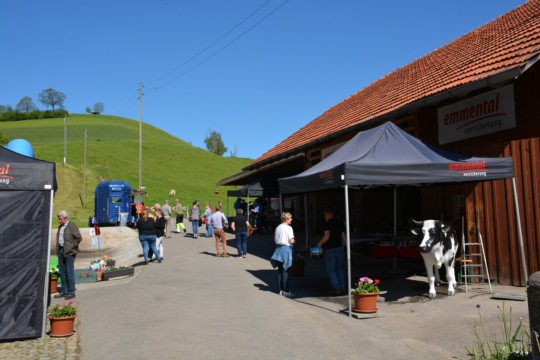 WhatsApp Bild 2024-05-13 um 11.37.06_f2fd41d5