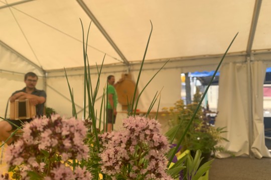 D75DFA00-14AE-46E5-8024-A29ABF5A4837