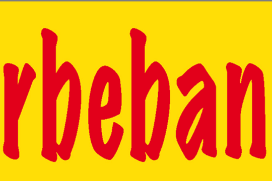 Werbebanner Titel.png