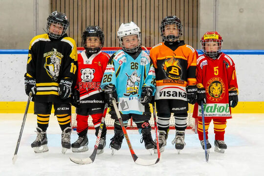 Bild HC Wisle wird Teil des Hockey Country