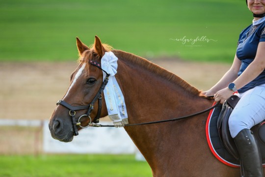 Worb_Equipe_462 Kopie