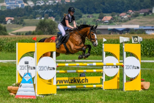 Worb_RN110_110 Kopie