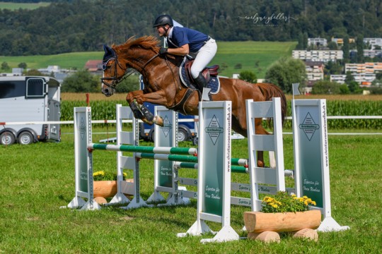 Worb_RN115_342 Kopie