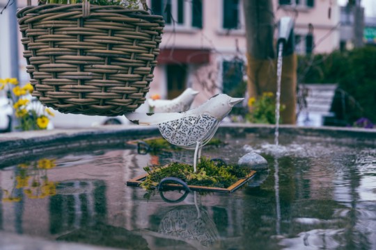 2023-04-06_Osterbrunnen_Nr._03b