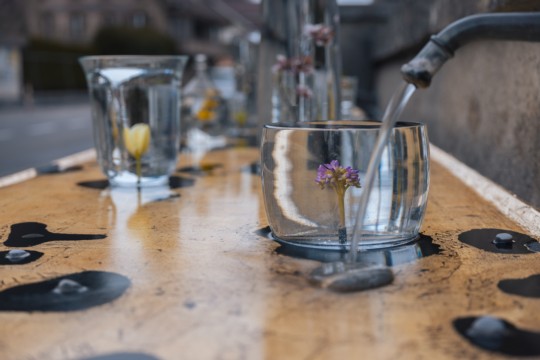 2023-04-06_Osterbrunnen_Nr._04b