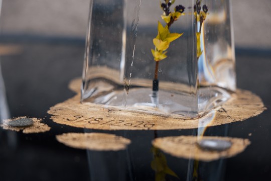 2023-04-06_Osterbrunnen_Nr._04c