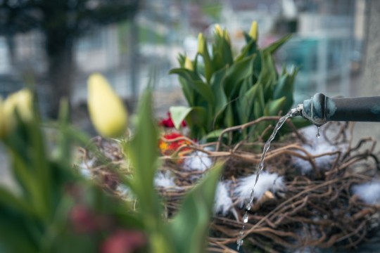 2023-04-06_Osterbrunnen_Nr._07