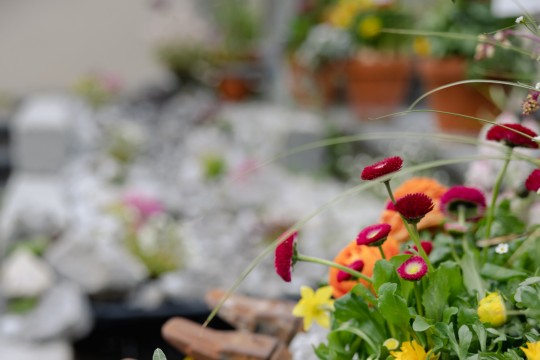 2023-04-06_Osterbrunnen_Nr._09a