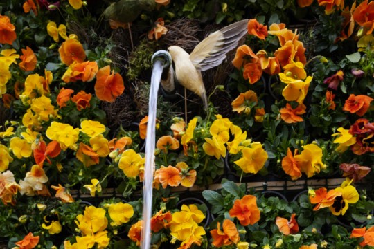 2023-04-06_Osterbrunnen_Nr._11b