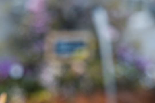 2023-04-06_Osterbrunnen_Nr._5b