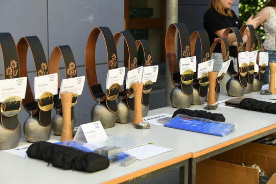 20260509_Jungschwinger_1240
