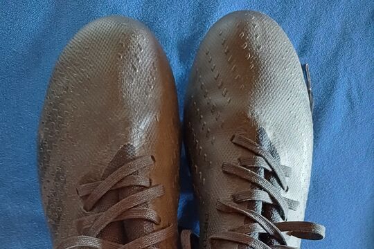 20260709_165200.jpg