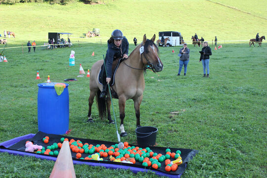 Plauschturnier im B&auml;chi 003