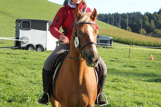 Plauschturnier im B&auml;chi 008