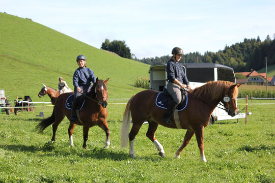 Plauschturnier im B&auml;chi 017
