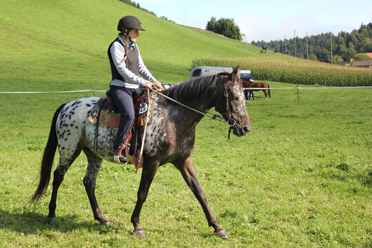 Plauschturnier im B&auml;chi 019