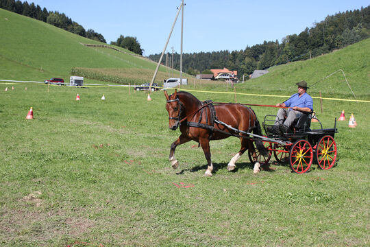Plauschturnier im B&auml;chi 051