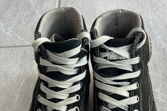IMG_7950.jpeg