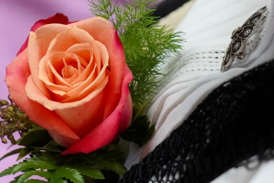 20240204_133659000_iOS