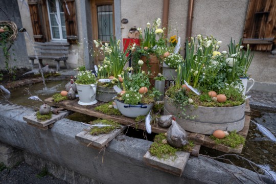 2023-04-06_Osterbrunnen_Nr._02d