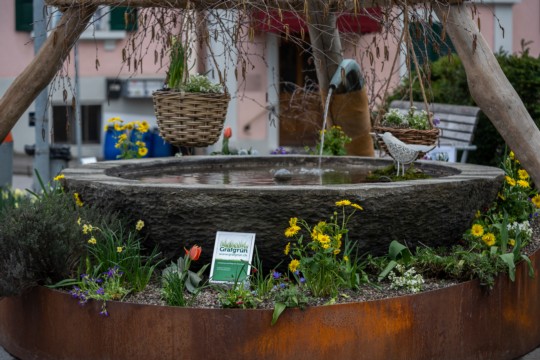 2023-04-06_Osterbrunnen_Nr._03c